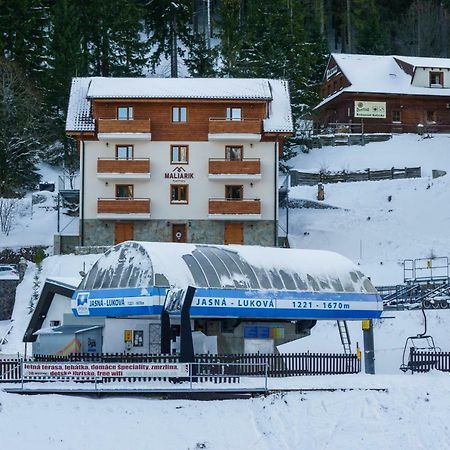 Apartmany Maliarik Dolina Demianowska Zewnętrze zdjęcie